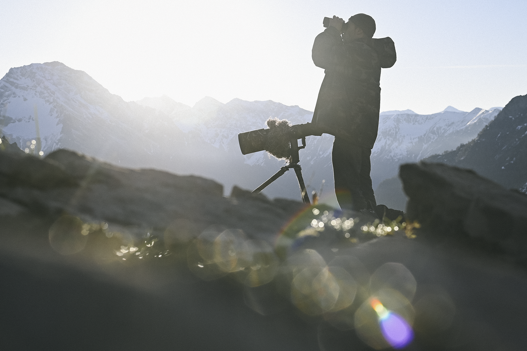 Portrait de Mickaël Giraud-Telme, photographe dans la nature